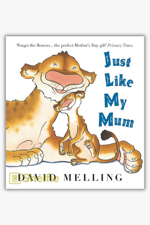 JUST LIKE MY MUM by David Melling