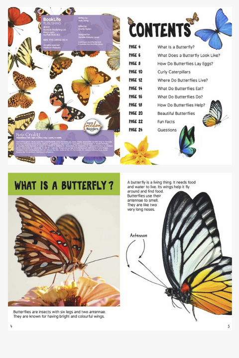 LIVES OF BUTTERFLIES by Holly Duhig