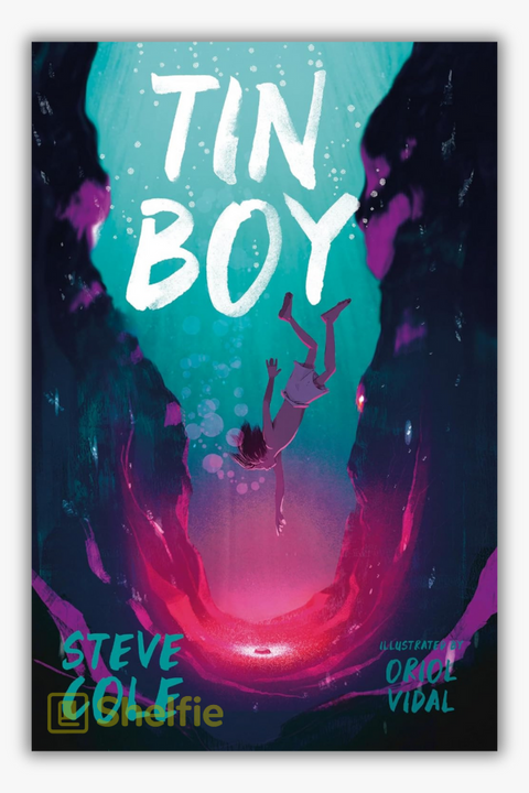 TIN BOY by Steve Cole