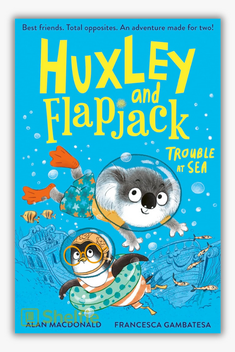 HUXLEY & FLAPJACK: TROUBLE AT SEA by Alan MacDonald