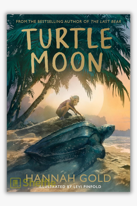 TURTLE MOON by Hannah Gold