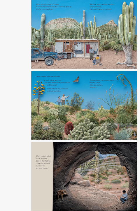 DESERT JUNGLE by Jeannie Baker